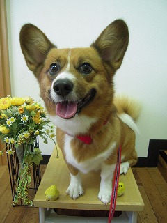 DSCN4633.jpg