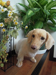 DSCN4725.jpg