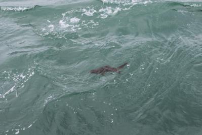 IMG_0677_convert_20120421214114.jpg