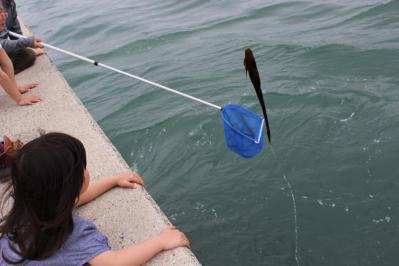 IMG_0679_convert_20120421214241.jpg
