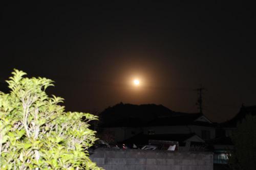 IMG_0971_convert_20120506214359.jpg