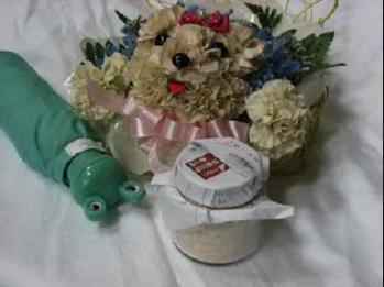 13_20130317003655.jpg