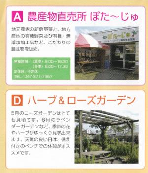 ぽたーじゅ