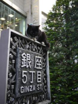 標記の↑で・・