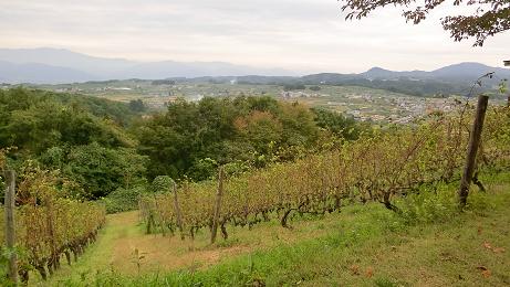 winery1.jpg