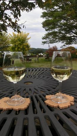 winery6.jpg