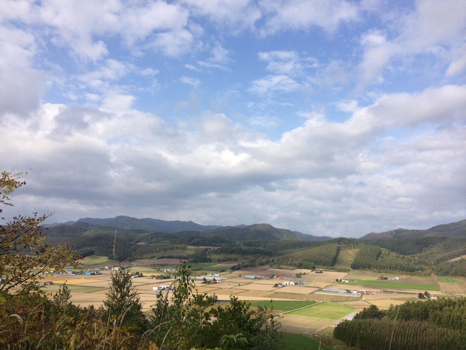 中富良野3