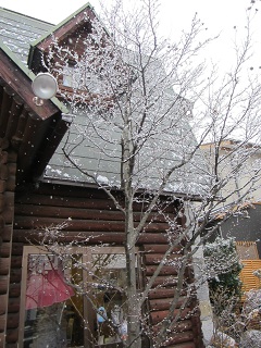 IMG_0514.jpg