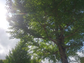 DSC_0073.jpg