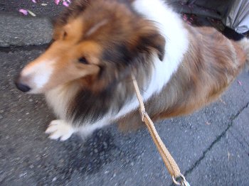 DSC0154aaagg7.jpg