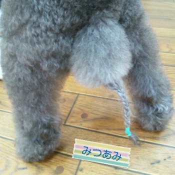 アラレ三つ編み
