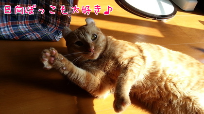 2014-09-17-2.jpg
