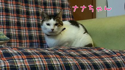 2014-09-17-3.jpg
