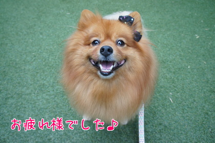 2014-09-19-11.jpg