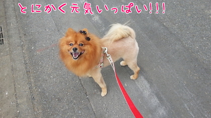 2014-09-19-2.jpg