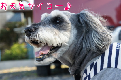 2014-10-3-2_20141002002108ace.jpg