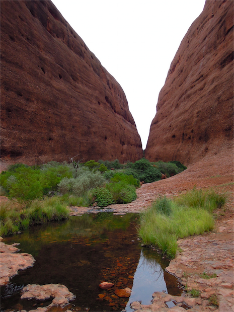 DSCN0644.jpg