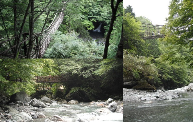 奥祖谷かずら橋