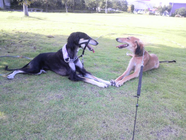 2011081307100001.jpg