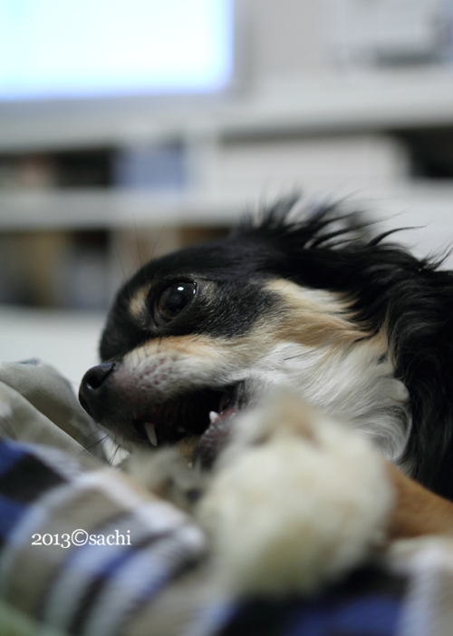 coco