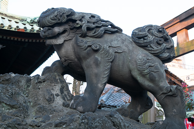 DSCF3846.jpg