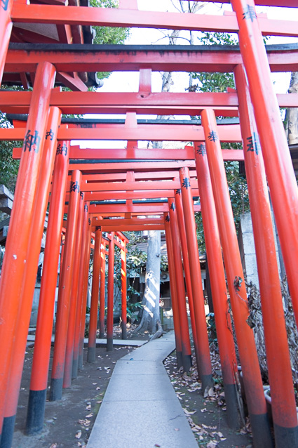 DSCF3877.jpg