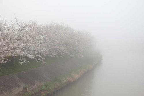 120421_15.jpg