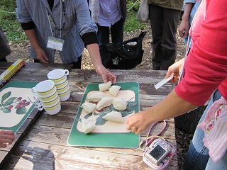 IMG_1034.jpg