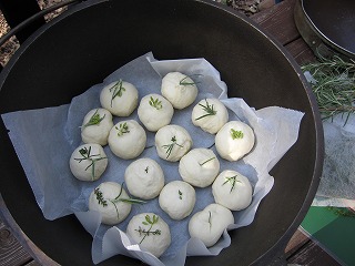 IMG_1037.jpg