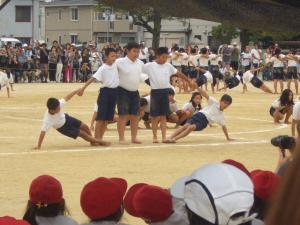 CIMG7267_convert_20140920231934.jpg