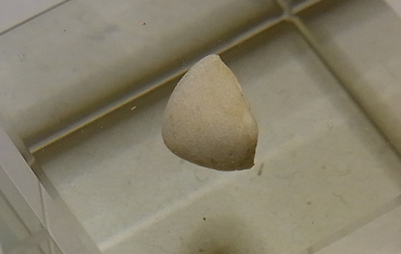 ag80.jpg