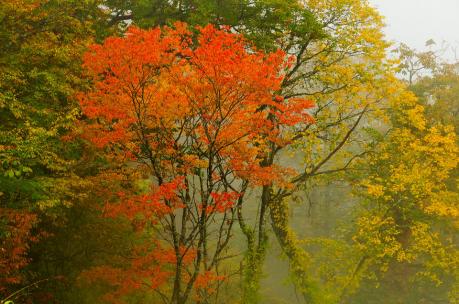 s11_20111015143148.jpg