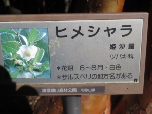 927-10.jpg