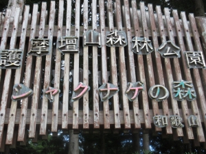 927-11.jpg