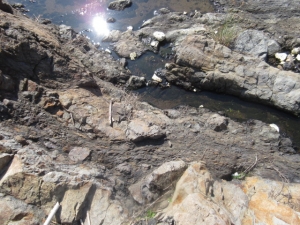 927-42.jpg