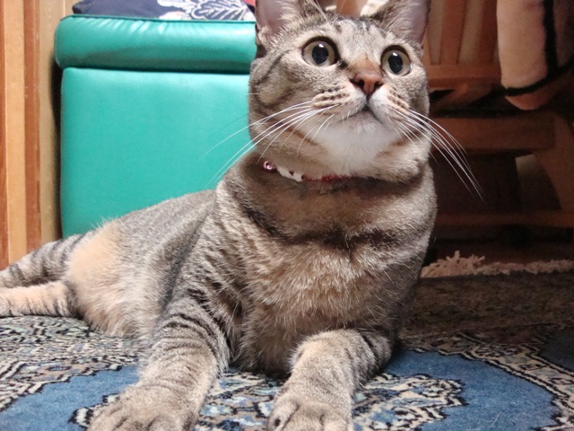 DSC07997.jpg