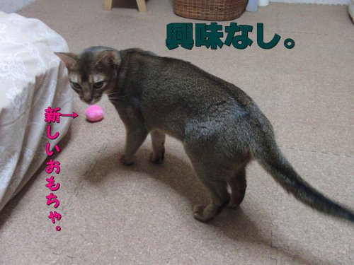 興味なし