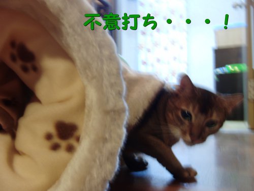 不意打ち!