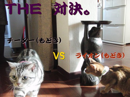 THE対決
