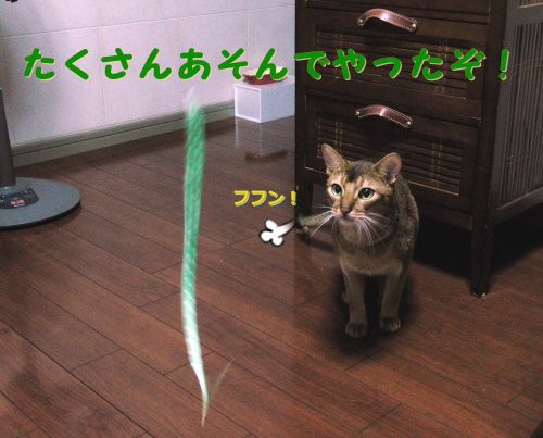 遊んでやった