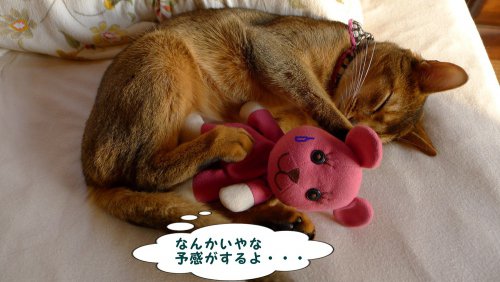 そうね、なんかキケン