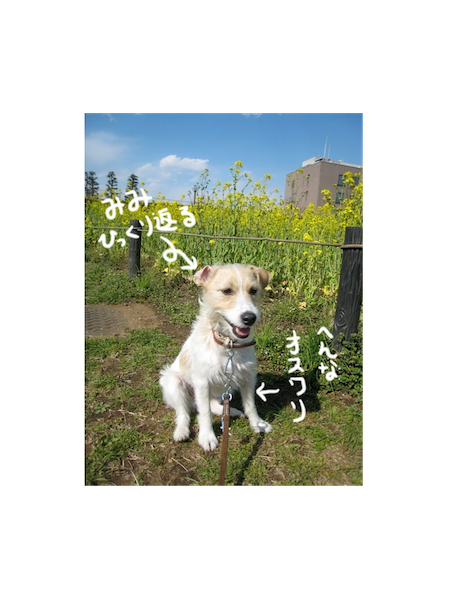 写真1