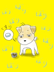 04:21:03