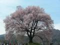 DSCN9663.jpg