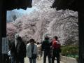 DSCN9673.jpg
