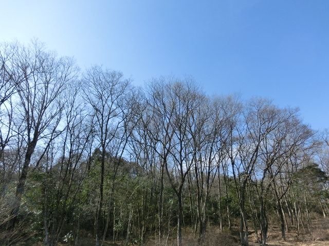 20140217ネブト採集01