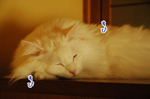 03_20111012171421.jpg