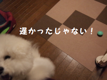 あ99