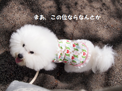 なんとか