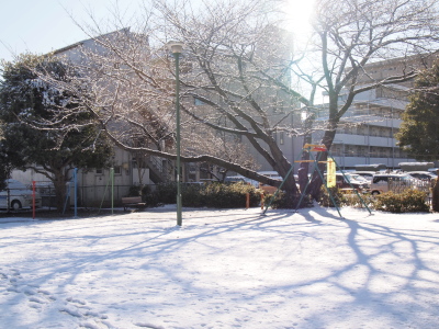 P1245816.jpg